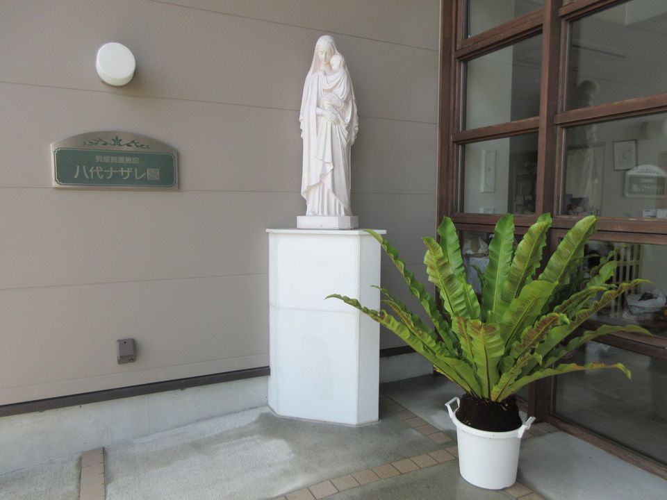 オオタニワタリちゃんとオクラちゃん