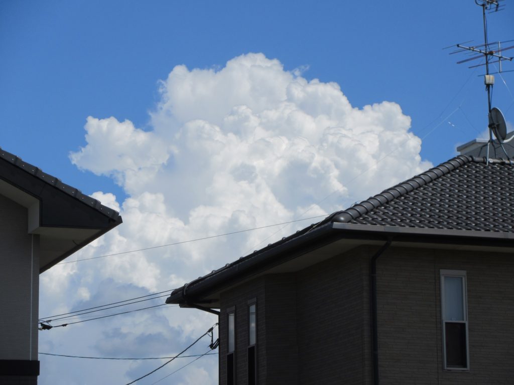 八代ナザレ園、夏の風物詩