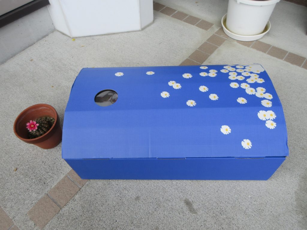 くうちゃん、安らかに・・・