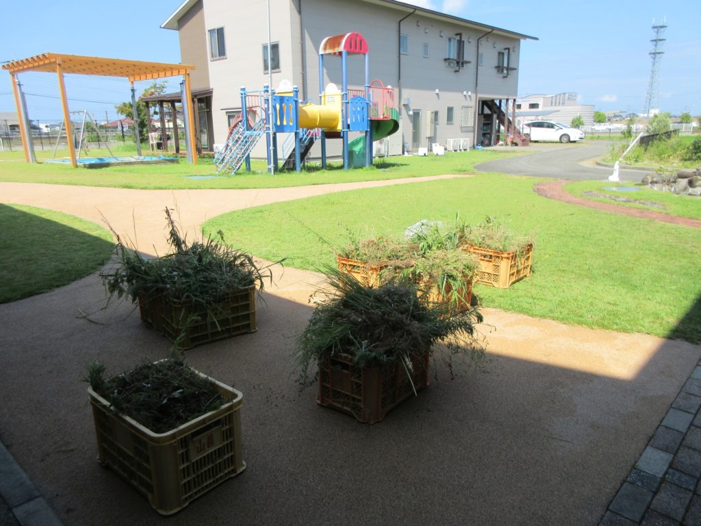 草取りオリンピック