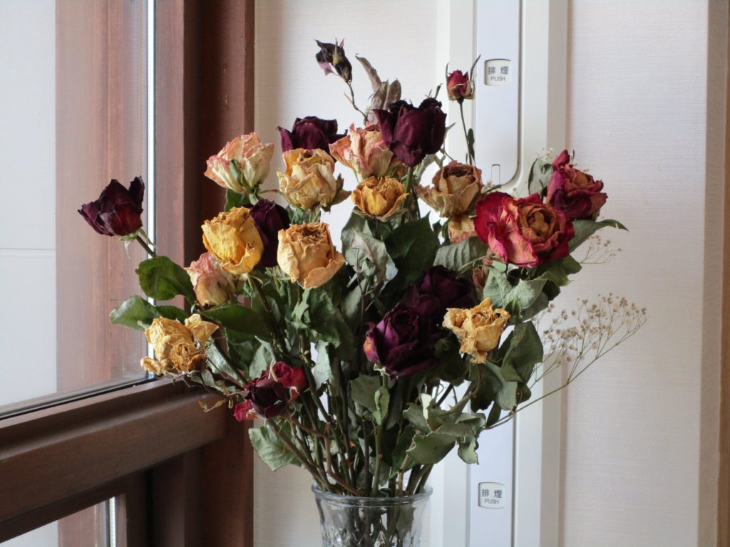 ドライフラワー