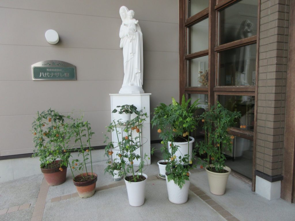 波瀾万丈の一日