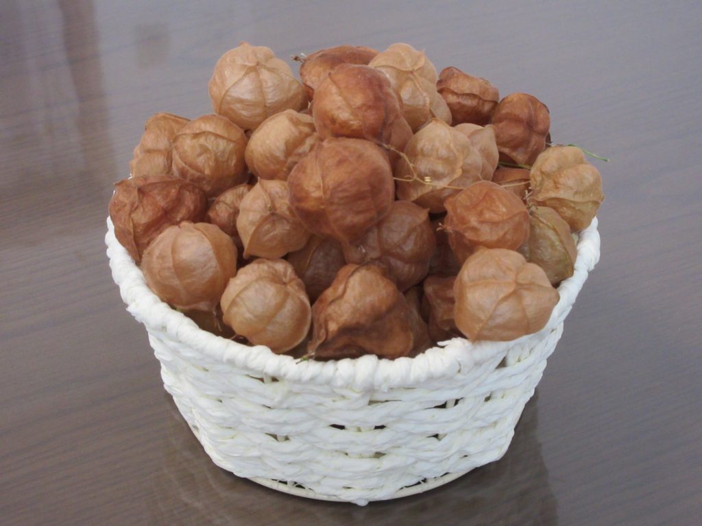 綺麗な風船が沢山付き始めた