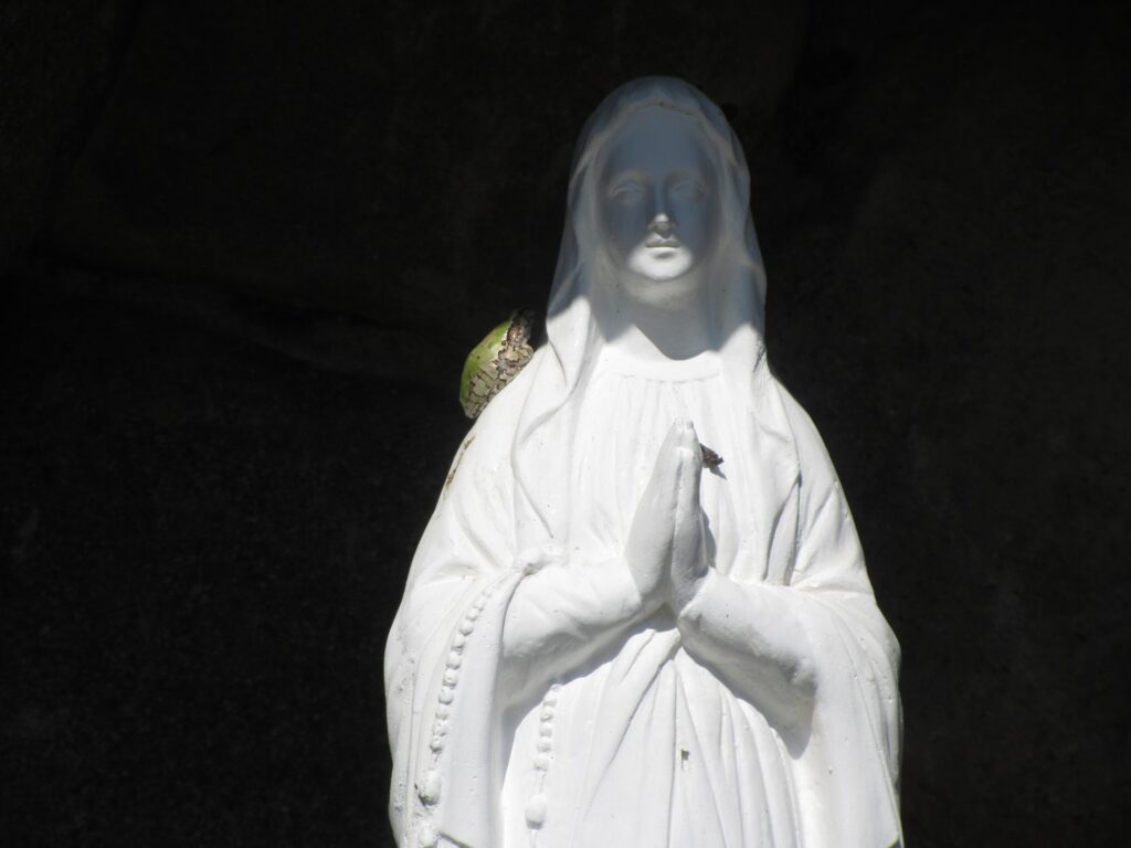 緑カエル速報！！