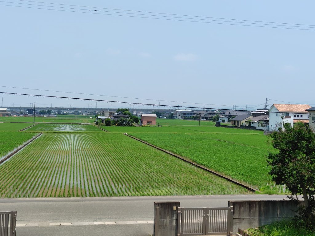 いよいよ本格的な夏